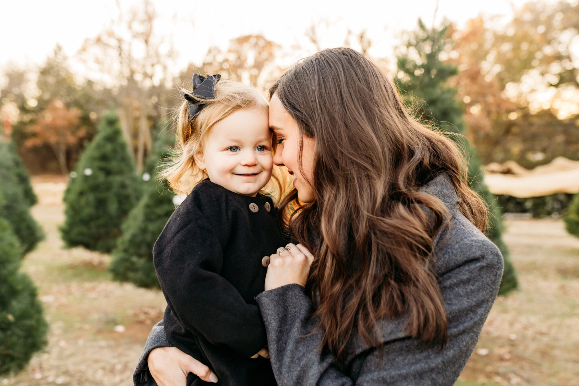 christmas tree farm mini sessions 2022