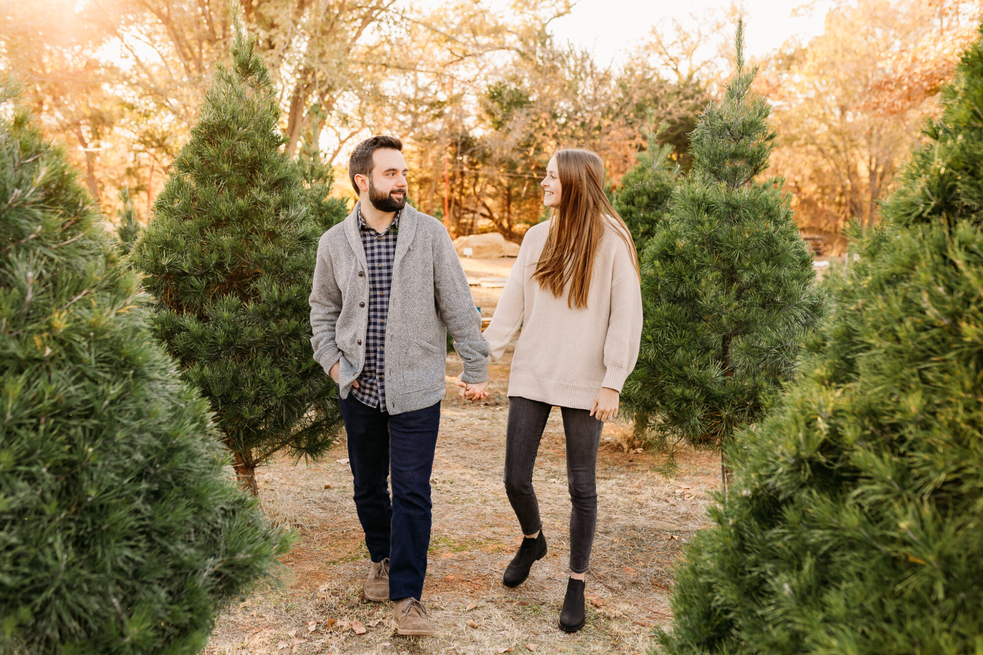 christmas tree farm wells christmas tree farm norman ok 2022