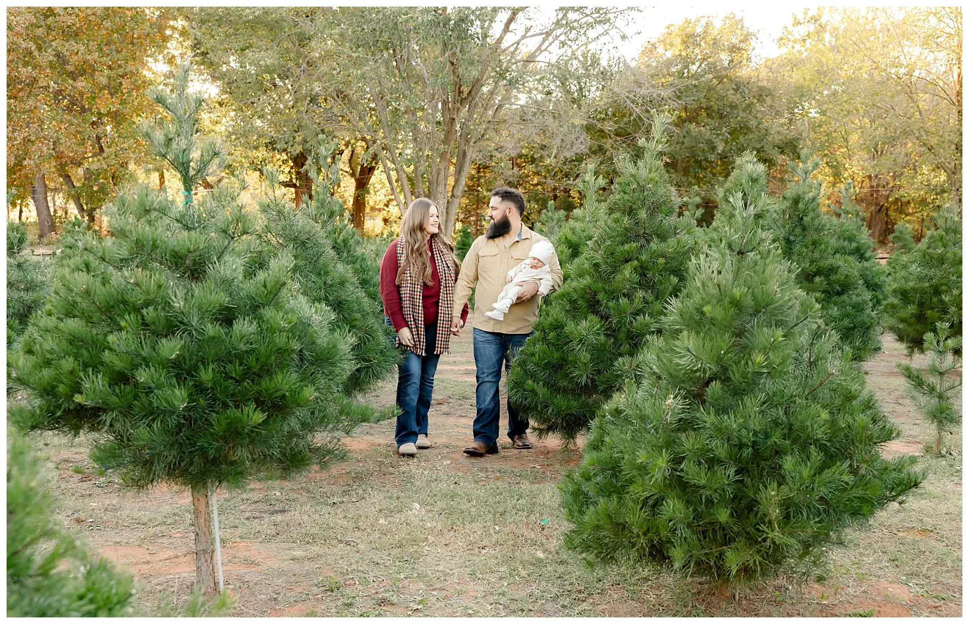 Family of 5 in the Christmas Trees at Wells Christmas Tree Farm.