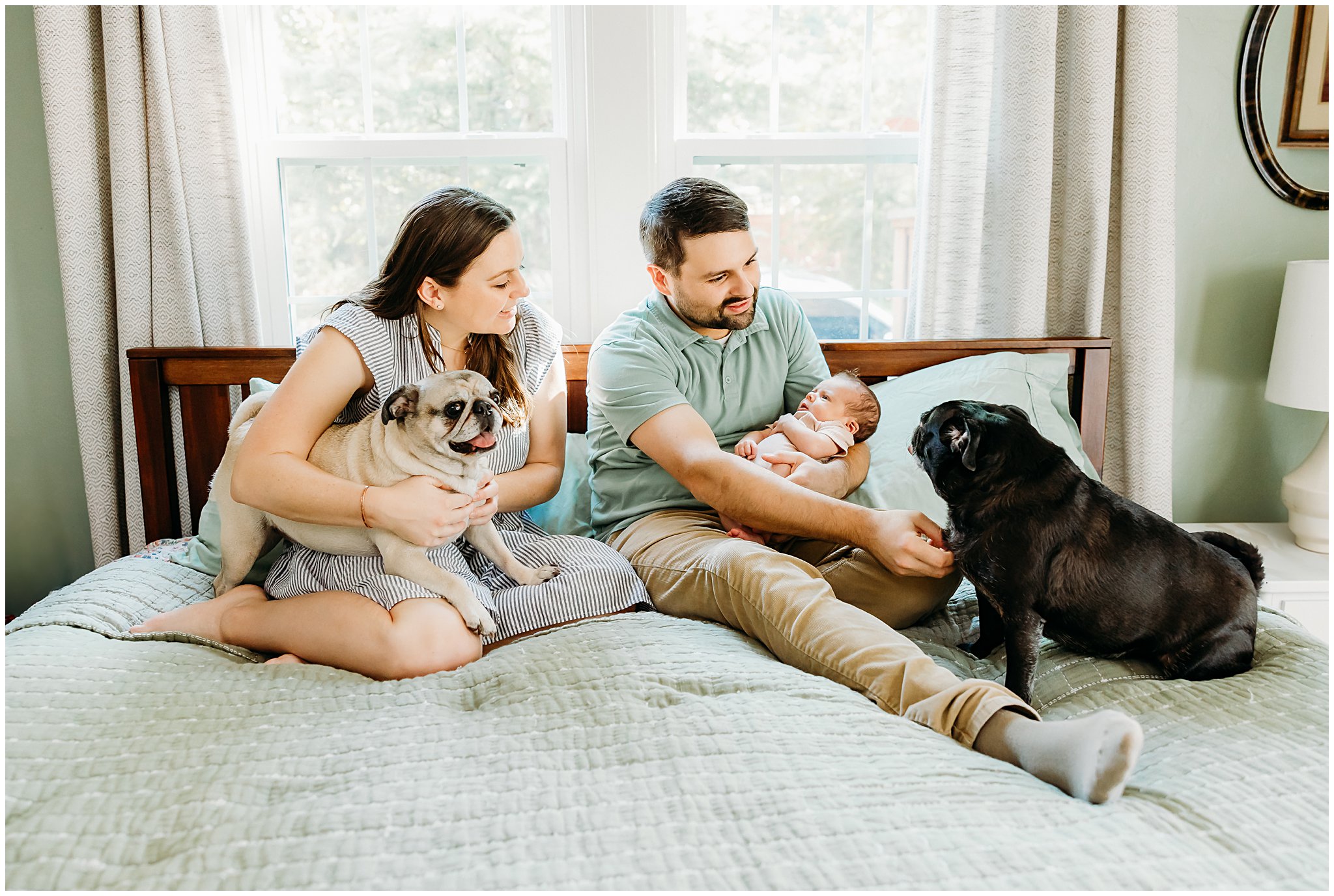 Couple sits on bed with dogs during newborn photos.