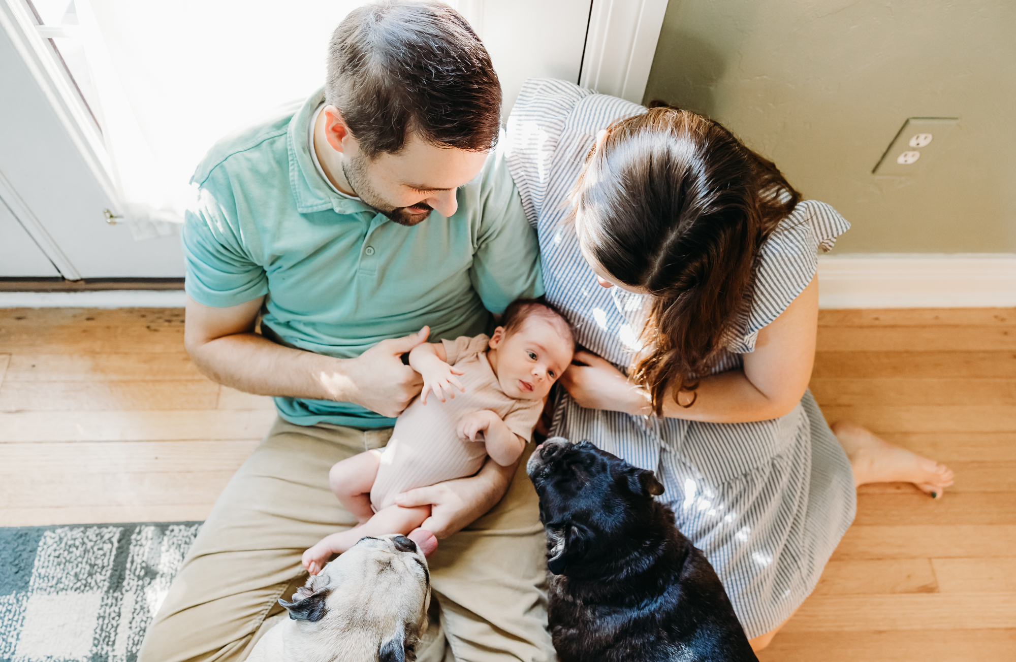 Parents sit on floor with newborn and pug pups during photo session with Edmond newborn photographer.