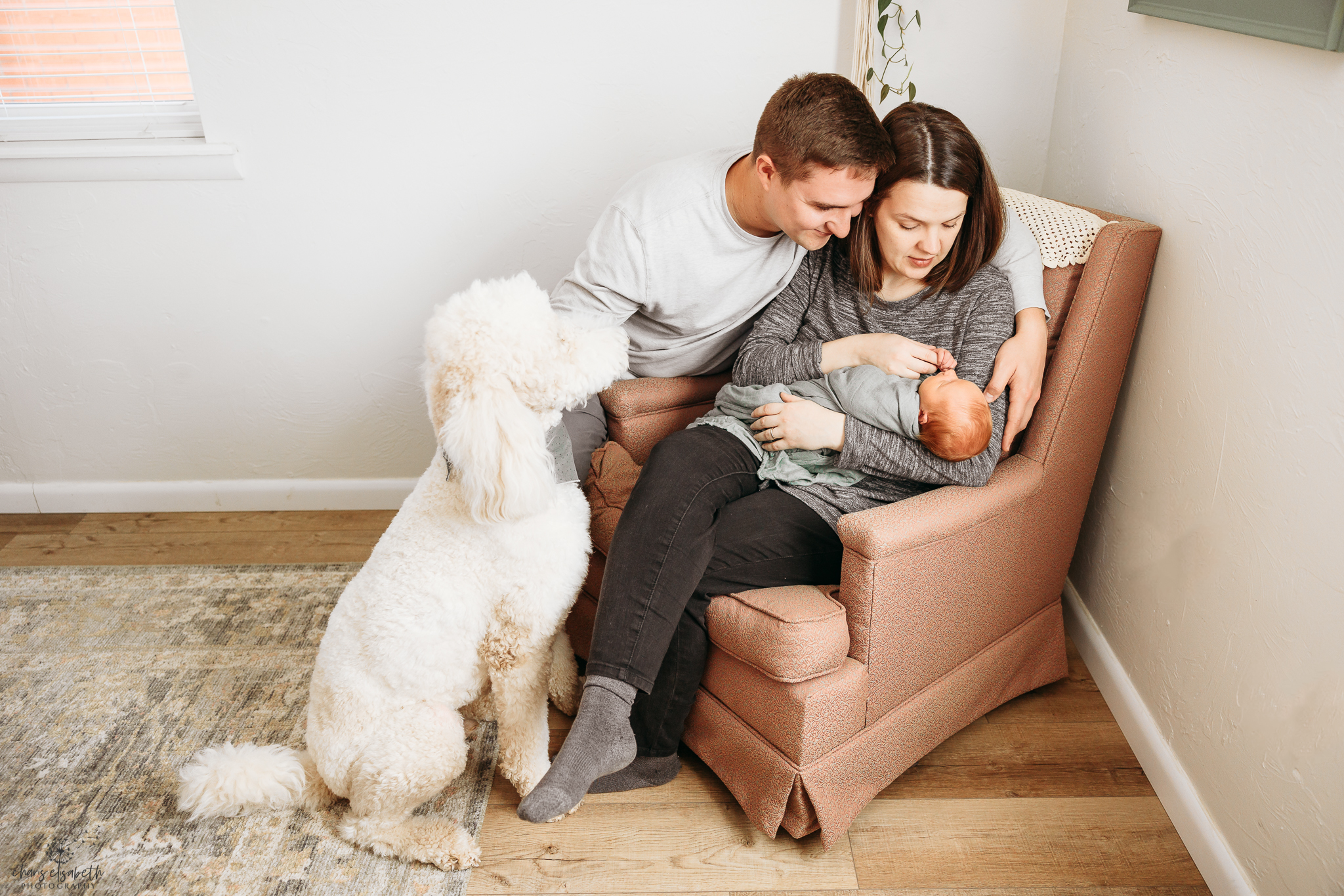 Couple with white poodle during newborn session in Oklahoma City