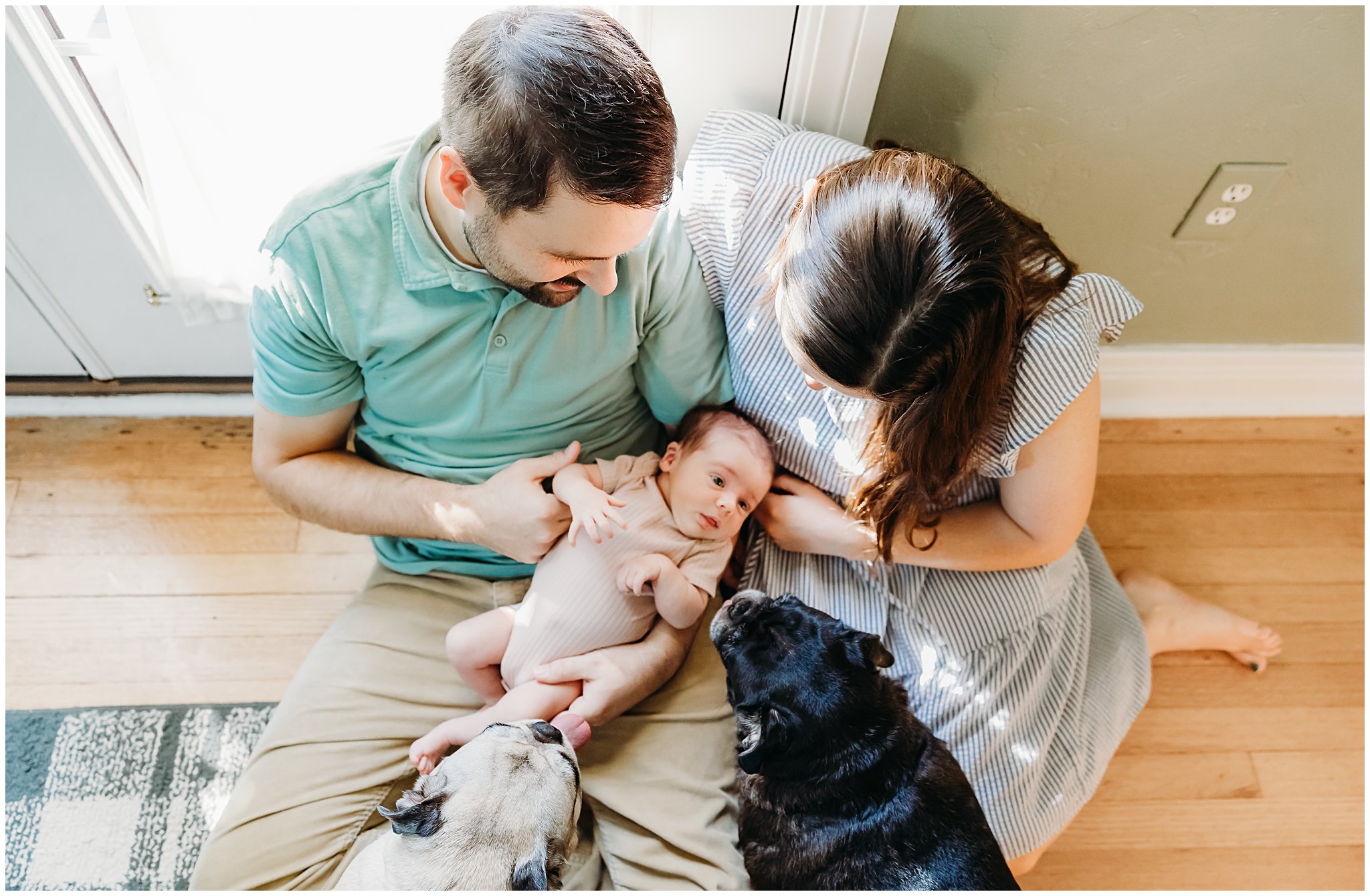 Mom and Dad sit on floor with baby and pugs during newborn photos.