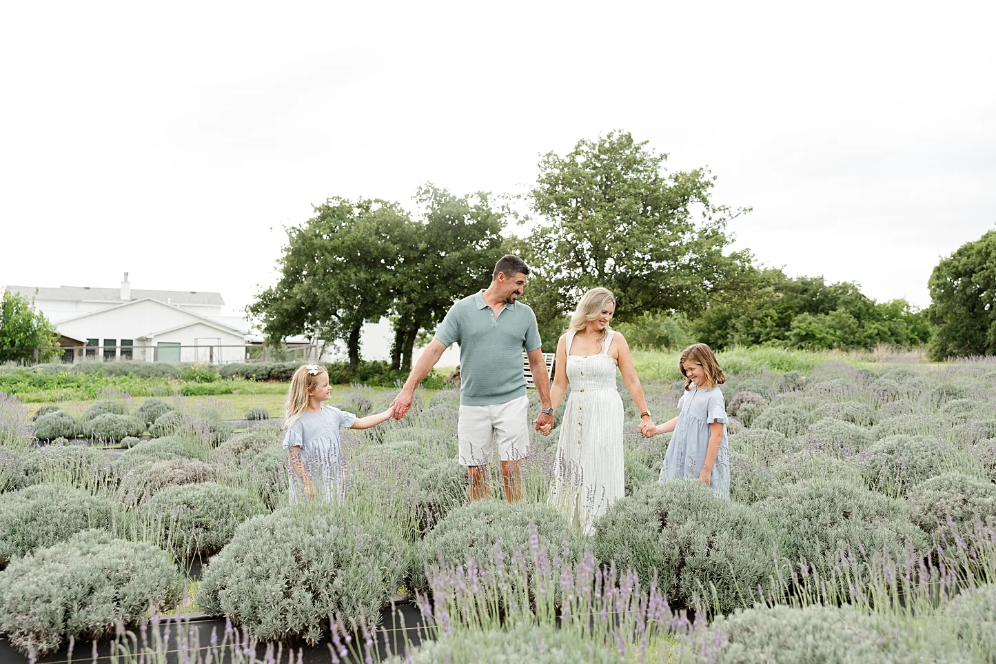 family in a lavender field at golden hour in best places to take family photos in OKC.