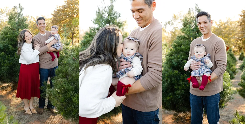 Family of 3 during golden hour christmas tree farm mini sessions.