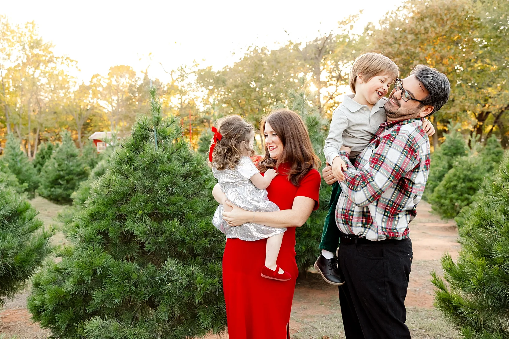 wells christmas tree farm mini sessions 2022